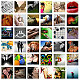 tfy's picture
