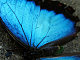 Becky Suman's picture