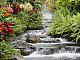 rrider1's picture