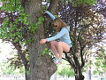 Climbin a tree.