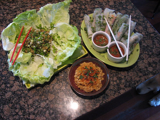 Asian inspired.  Lettuce wraps, spring rolls, and spicy coconut rice.