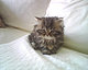 katpob's picture
