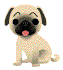 mimobot's picture