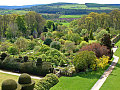 view from the tower
