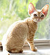 aquanteal22's picture