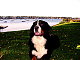 Infinity552's picture