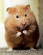 Jacolina's picture