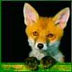 SANDERK1's picture