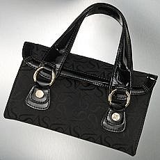 vera wang purse