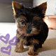 meghanokane's picture