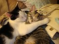 max and maggie
