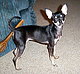 Trinka's picture
