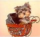RitaM4's picture