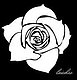 achortleaday's picture