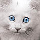 hofma2's picture