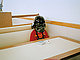 Coquiteen's picture