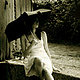 itoldyou's picture