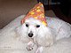 poodlemom's picture