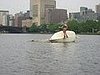 a kid tipped his boat!  the boat house actually allows kids under 18 to learn how to sail for only a dollar!