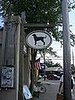 black dog is everywhere!