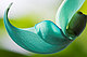 ncapps022's picture