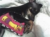 Minnie