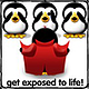 Penguin091507's picture