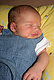 CanCan's picture