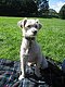 lisakmoser's picture