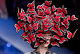 likessewing's picture