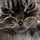 cstarr's picture