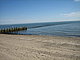 didozn's picture
