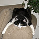 Anne 73's picture