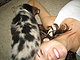 kyleemiller's picture