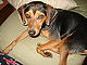mia c's picture