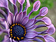 Creativa404's picture