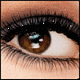 trishthedish07's picture