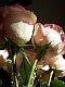 bhilb's picture