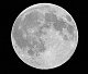 moonlite's picture