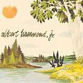 Albert Hammond Jr. - Yours to Keep