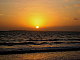 thalltrac's picture