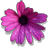 Guenivere's picture