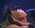 Winston