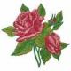 SHELLY ROSE's picture