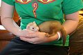 Elie on the day I got him.  He's now 2.3 lbs! He's such a chub!