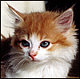 artemis77's picture