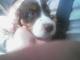rigby's picture