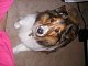 xheather lynn's picture