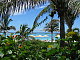 karyn09's picture