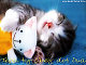 babygirl89's picture